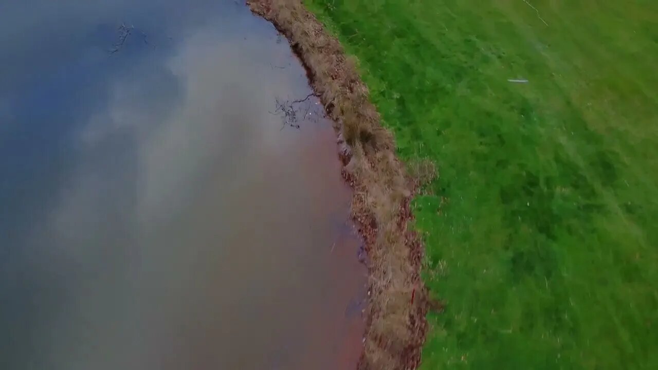 Flying Over a Pond - Royalty Free Stock Video #drone