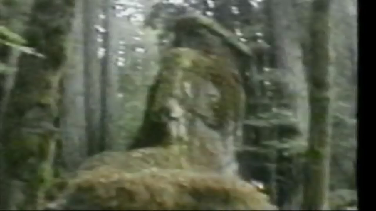 DARK SECRETS INSIDE BEHEMIAN GROVE