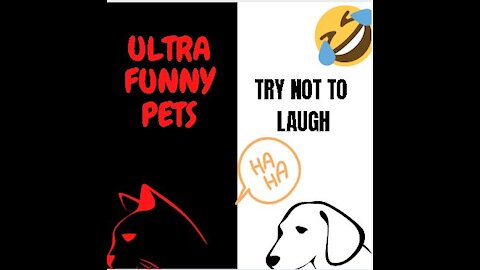 Ultra Funny Pets - Try Not to Laugh