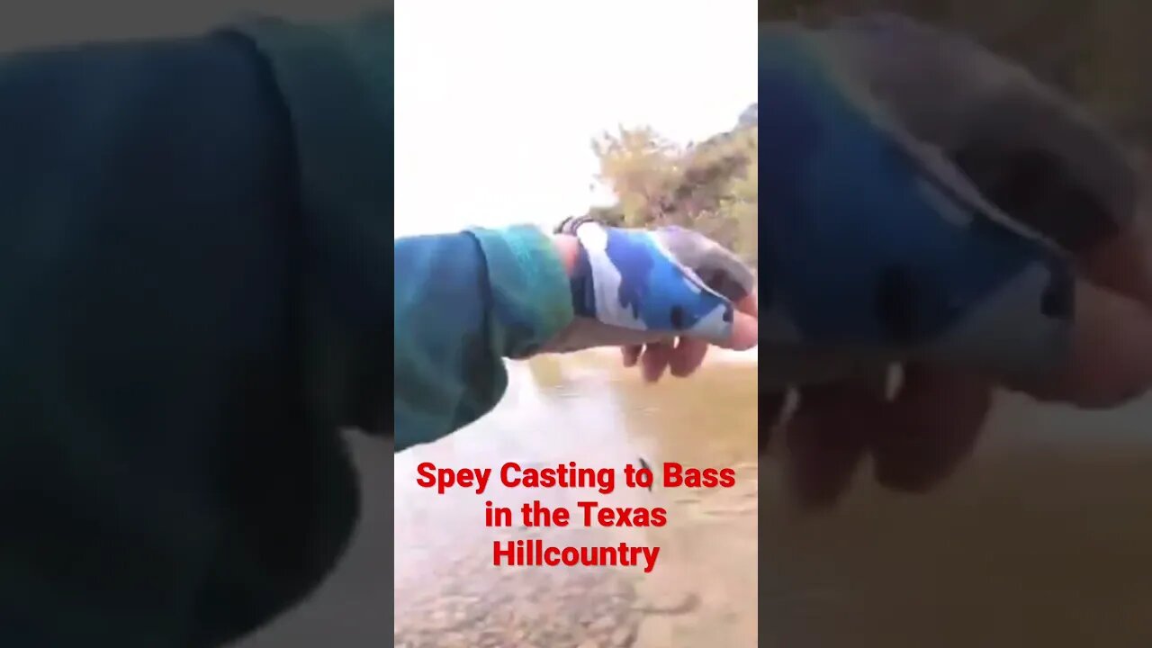 #speycasting to #bass in the #texas #hillcountry #shorts #fishing #flyfishing #switch #hiking