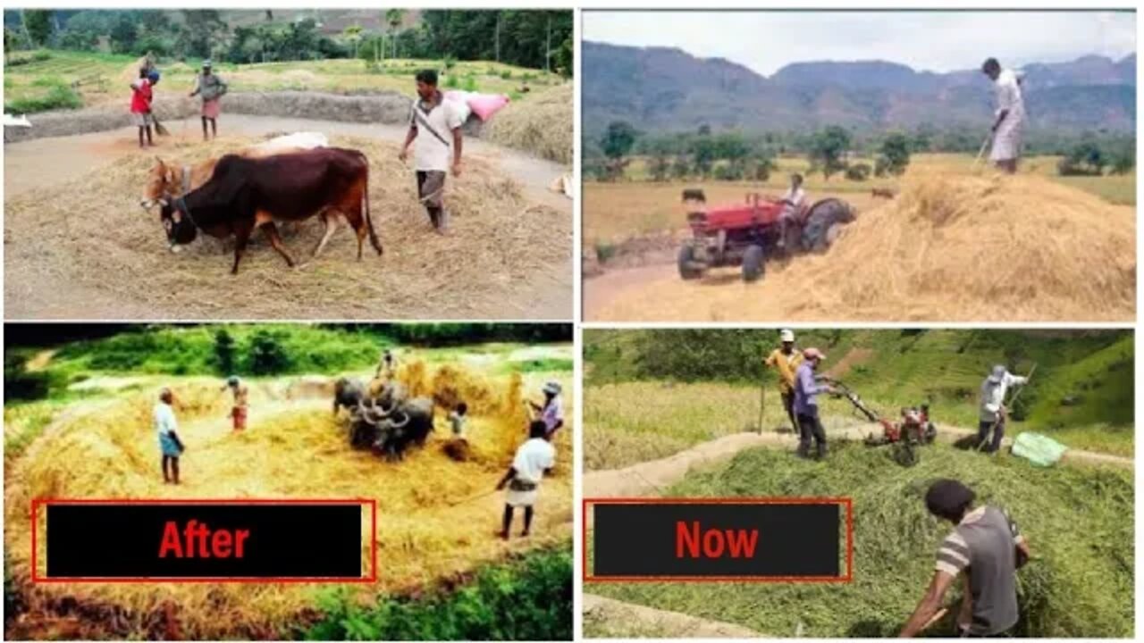 Old Agricultural Systems and Modern Systems in Sri Lanka ශ්රි ලංකාවේ කමතේ අලුත් කිරිම් කොල පාගනවා