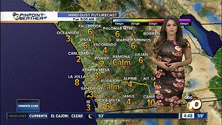 10News Pinpoint Weather with Kalyna Astrinos