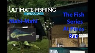 Ultimate Fishing Simulator: The Fish - PinasBay - Mahi Mahi - [00043]