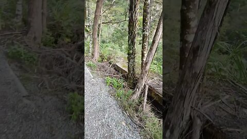 My three year old son at Karangahape Gorge