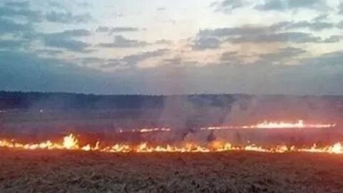 Ukraine not recovering food production soon