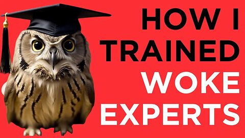 How I Trained A Community Of Experts in Woke