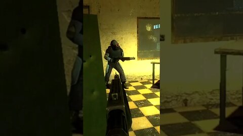 When You're Playing HL2 VR a LITTLE Too Long....