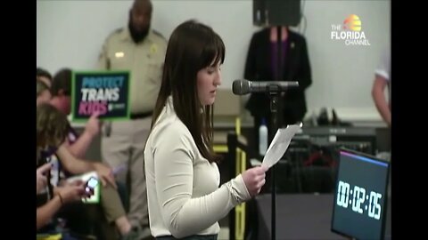 Detransitioner Helena Florida Board of Medicine Testimony Nov. 4
