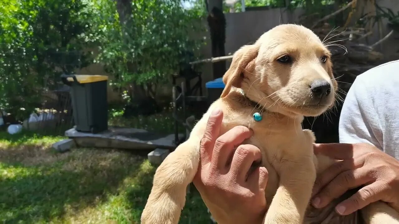 PMCS MAINTENANCE DAY