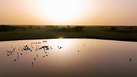 Elephants Thrive After Poaching Ban in Zakouma _ Planet Earth III Behind The Scenes _