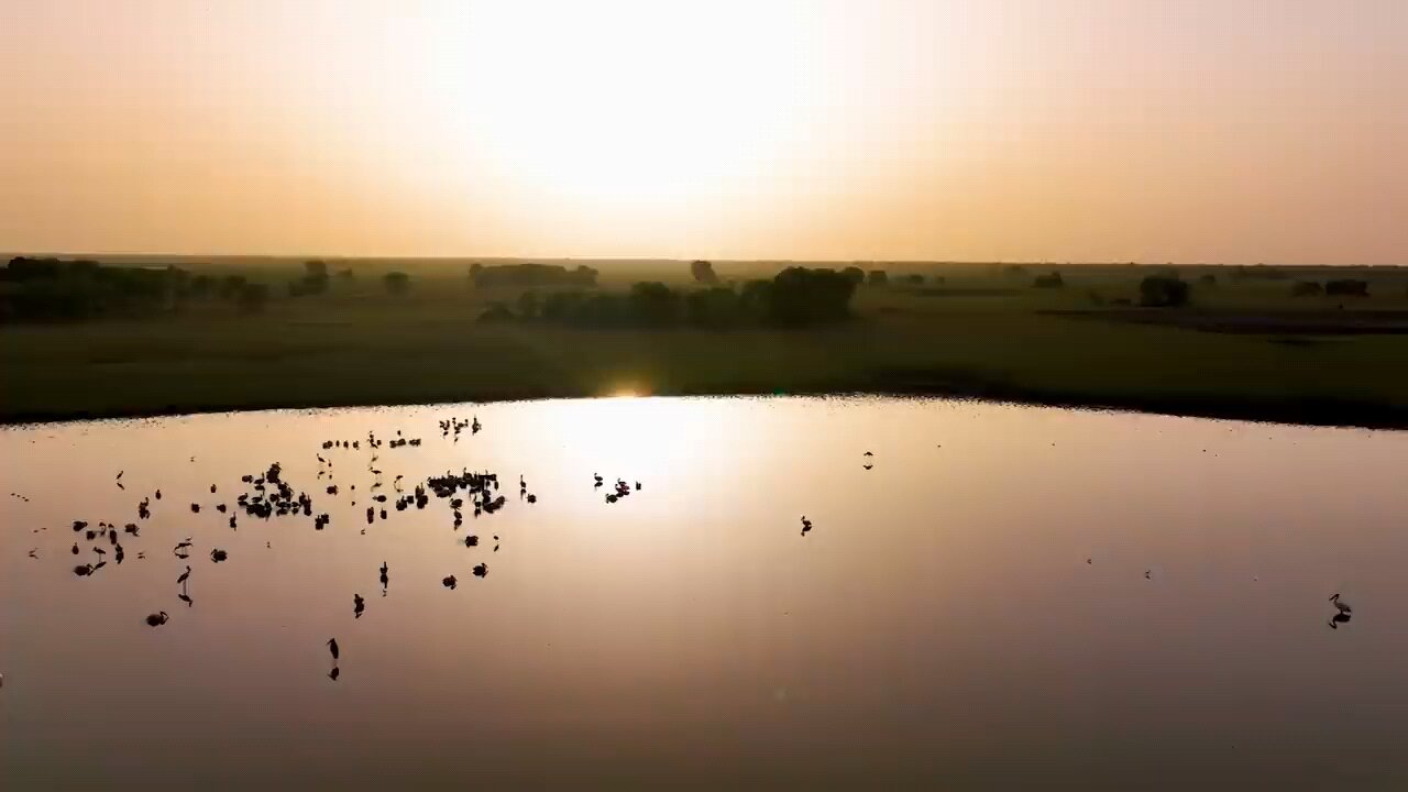 Elephants Thrive After Poaching Ban in Zakouma _ Planet Earth III Behind The Scenes _