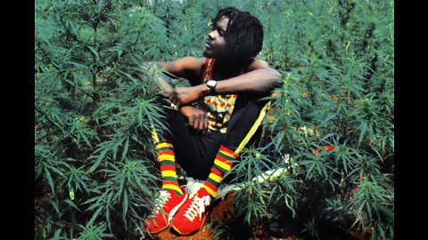 Peter Tosh - Legalize It