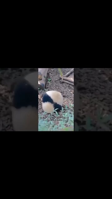 QUANDO FALAM QUE PRECISO EMAGRECER 🤣🤣🤣