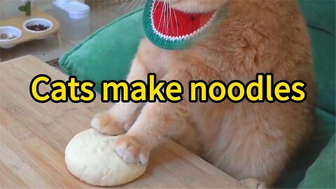 Cat Gourmet