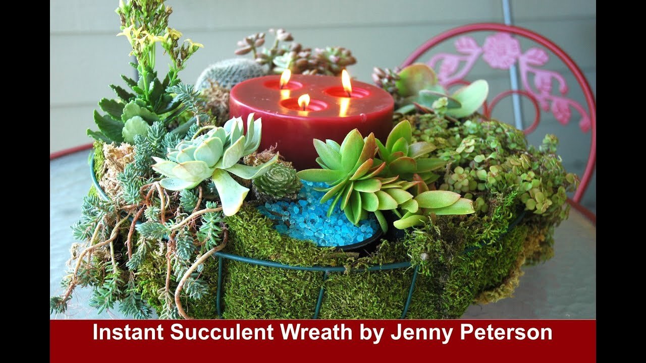 INSTANT SUCCULENT WREATH