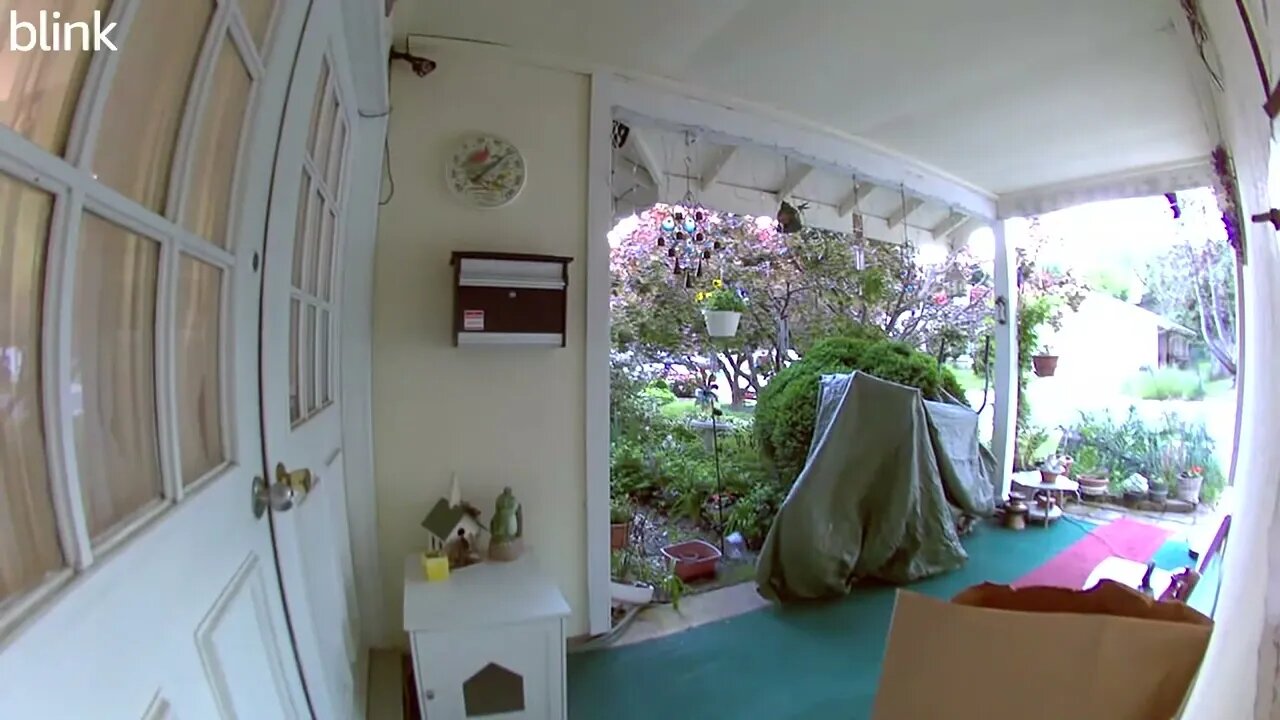 NORTH_VIDEO_DOOR_BELL_2023-05-04T19_51_24-0400.mp4