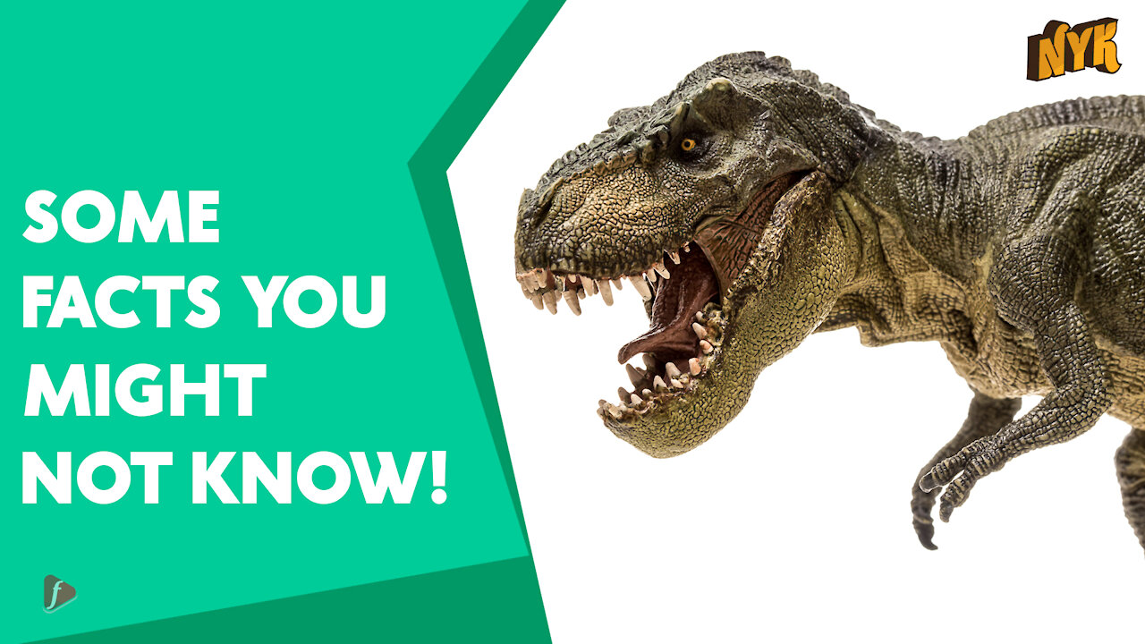 Top 4 Facts About Dinosaurs