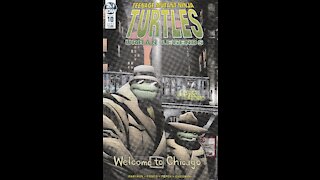 Teenage Mutant Ninja Turtles: Urban Legends -- Issue 10 (2018, IDW) Review