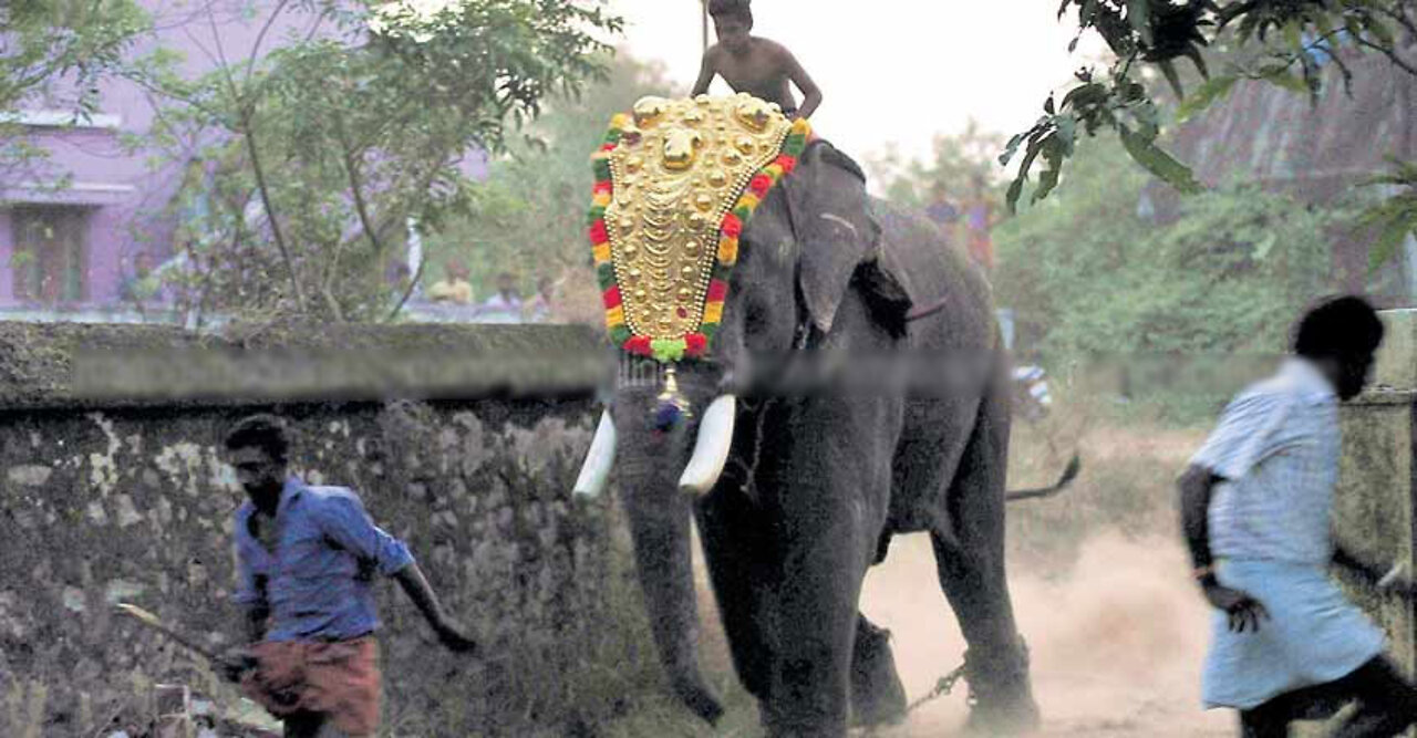 Indian Giant Elephant shocking Attack on festival..!!!!😲🐘Giant creature destroyed everything😥😱😱