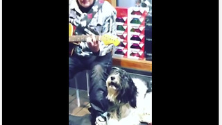 Dog sings along with street performer's guitar solo