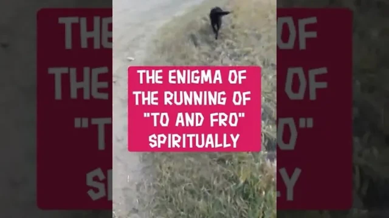 Morning Musings # 295 The Enigma Of The Running "To And Fro" Of Spirituality