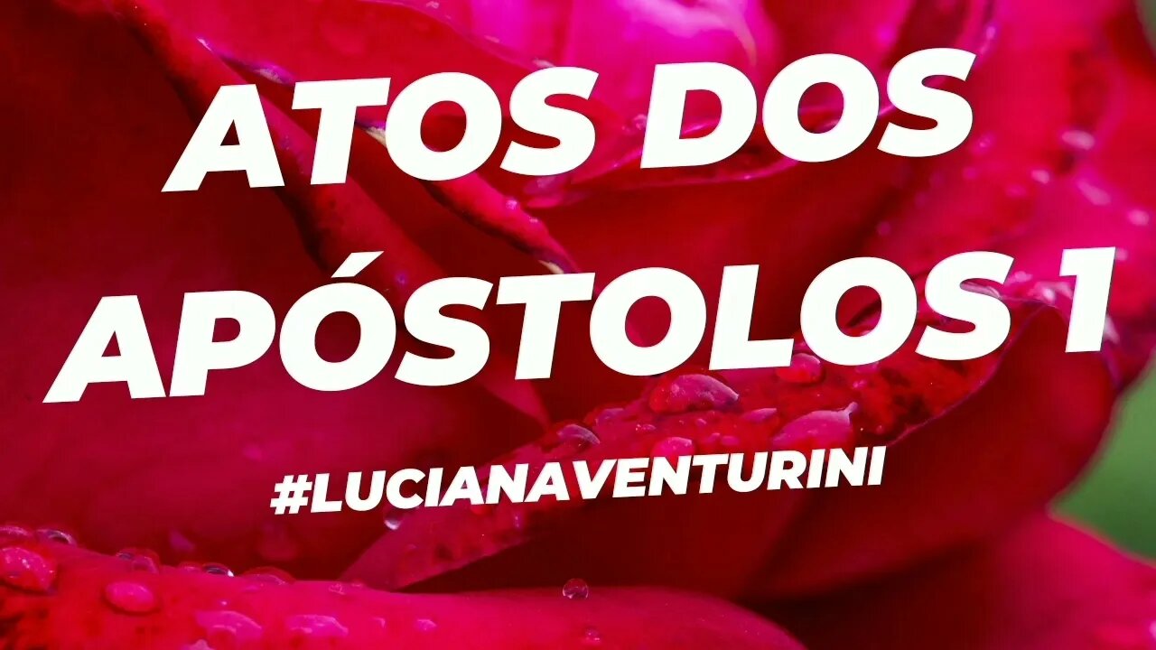 Atos dos apóstolos 1 #lucianaventurini #desenvolvimentopessoal #vivermelhor #atosdosapostolos