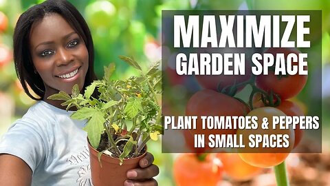 MAXIMIZING GARDEN SPACE | Growing Tomatoes & Peppers In Small Spaces