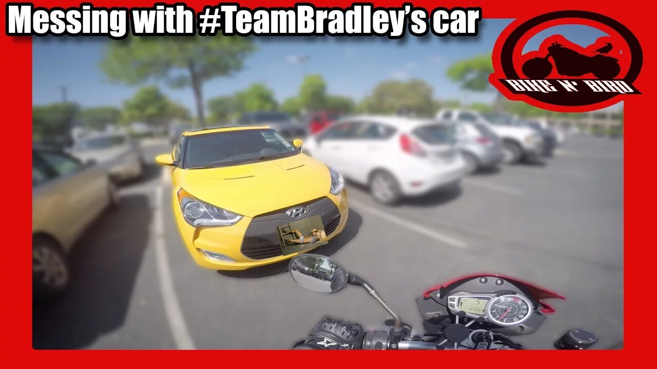 Spam Attack on #TeamBradley! -Triumph Speed Triple