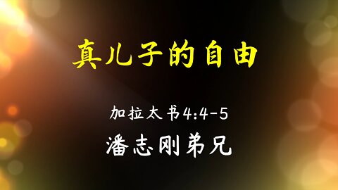 2022-6-5 《真儿子的自由》- 潘志刚弟兄