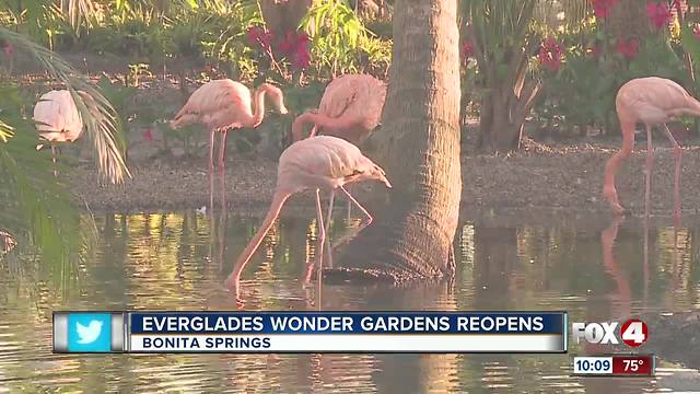 Everglades Wonder Gardens Reopens