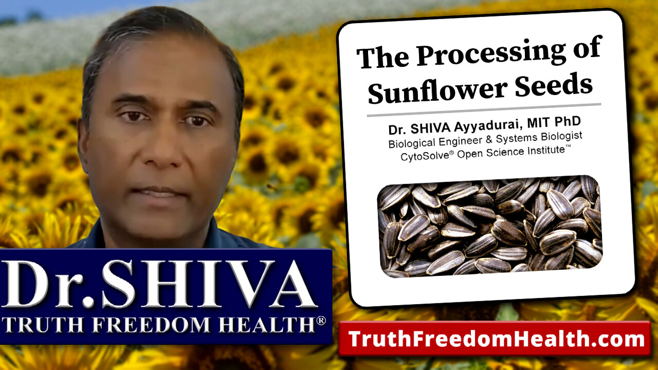 Dr.SHIVA: The Processing of Sunflower Seeds