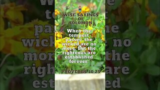 Wise Sayings of Solomon | Proverbs 10:25