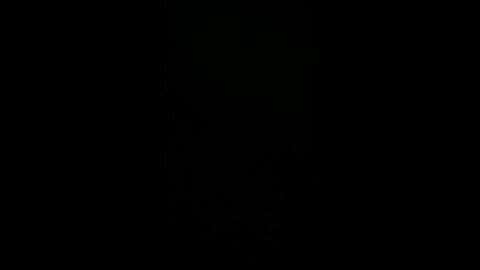 How to pronounce viva forever