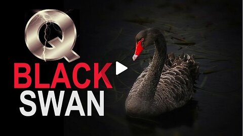 Breaking! Black Swan Event! Chilling New Developments That Will Shock The World!