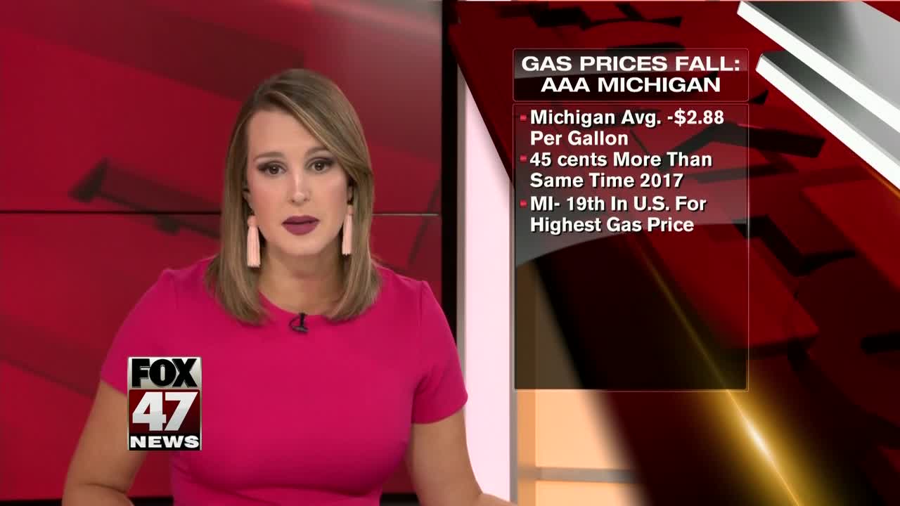 AAA Michigan: Statewide average daily gas price falls by 5 cents