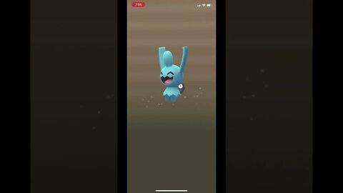 Pokémon Go - Hatching 5 km Wynaut Egg Showcase
