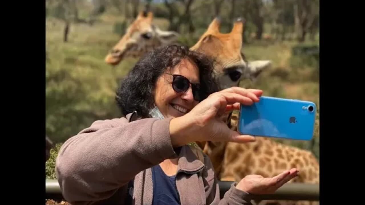 Ten ! Cool ! Places ! To Visit With Family In Nairobi In 2022 Things To Do In Nairobi, Kenya