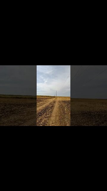 Comana - Prundu - Vlad Tepes XC ride | Soft house music | #shorts