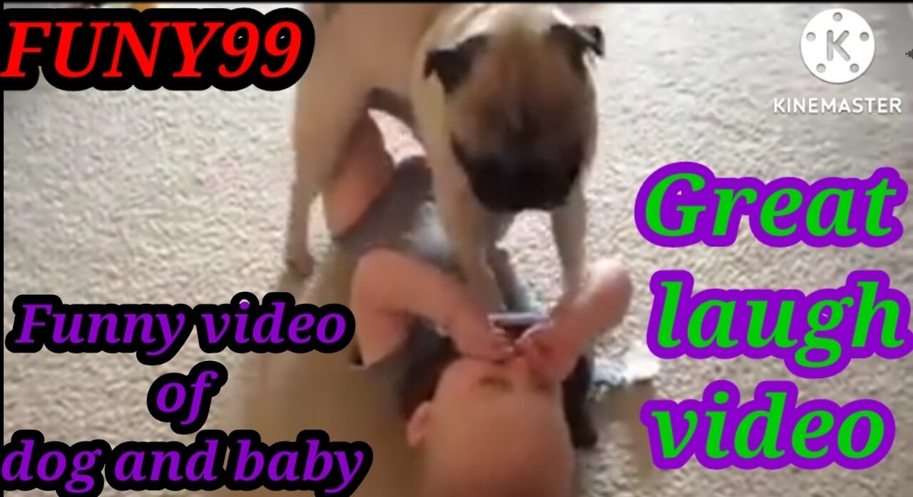 Funny video of baby and dog