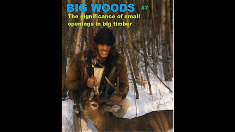 Hunting Beast Openings