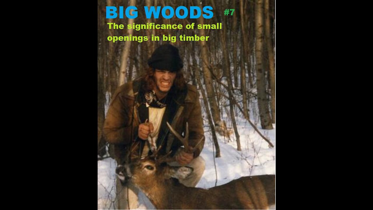 Hunting Beast Openings