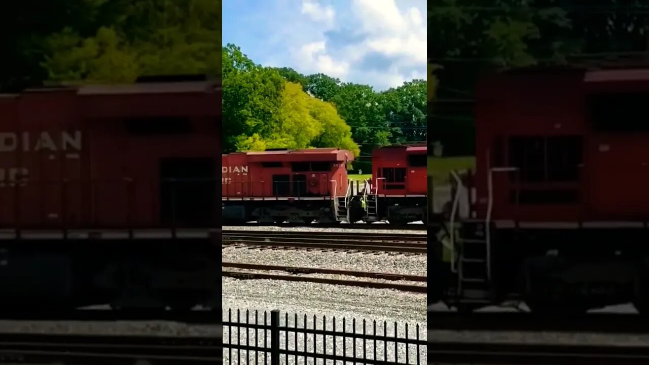 CP Dalton Georgia