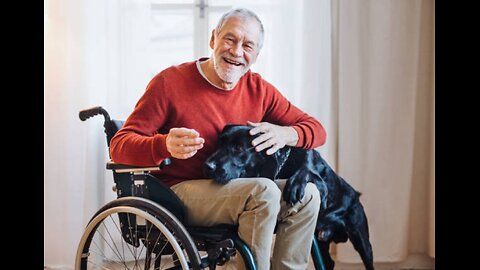 See how much a pet dog loves its owner