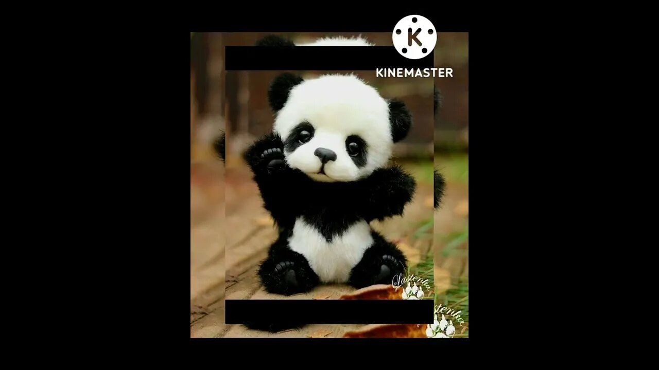 Cutest Panda's 🐼 #shorts