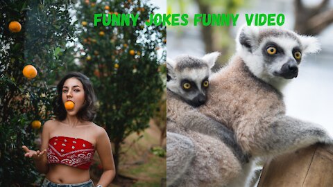 AWW New Funny Videos 2021 ● People doing funny and stupid things Part