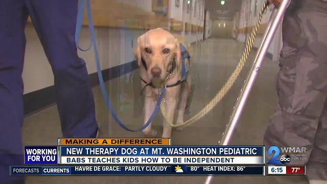 Babs the therapy dog brings smiles, confidence to kids at Mt. Washington Pediatric Hospital