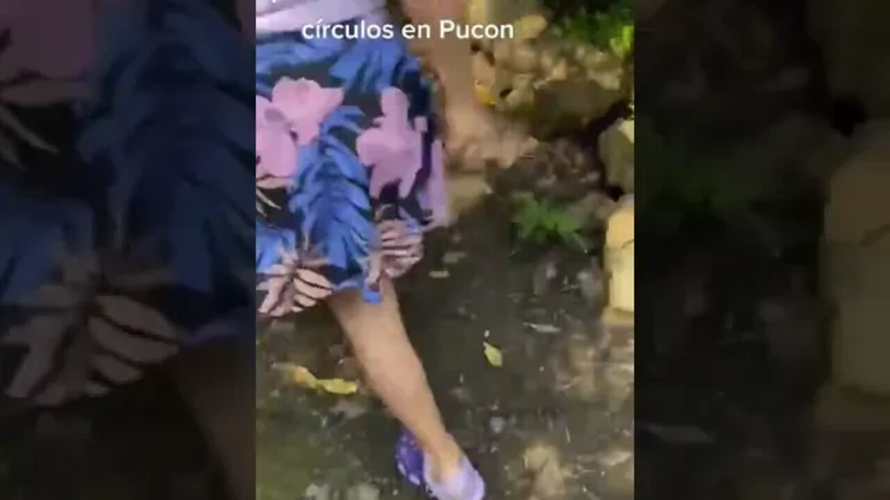 Peces en circulo alerta