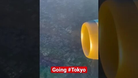 #sunrise in a #flyingTokyo #dreamliner