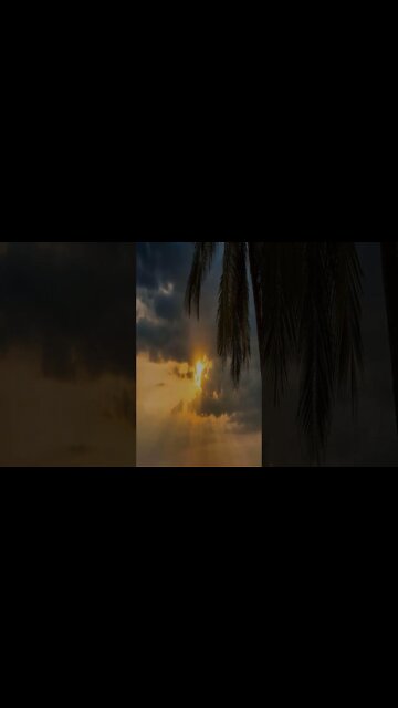 music - I Want To Live Feat Farisha Extan #music #shorts #calm #short #shortvideo #shortsvideo