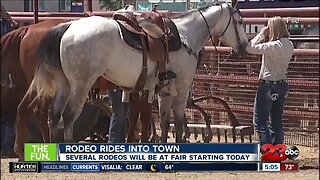Creedance Clearwater Revisited comes to the Kern County Fair on Thursday night